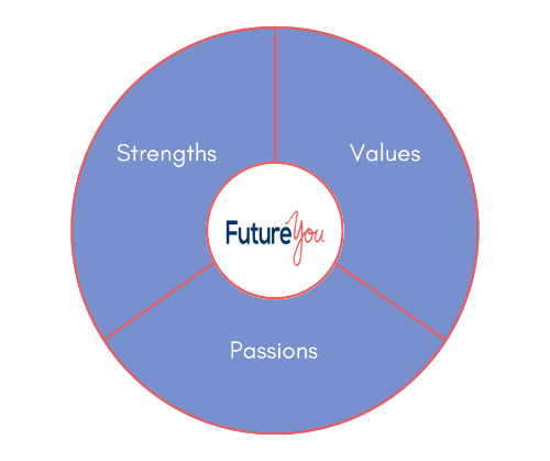 Pie chart: strengths, values and passions